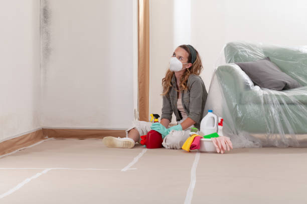 Reliable Mold Remediation contractor in Universal City, TX by Mold Remediation HQ